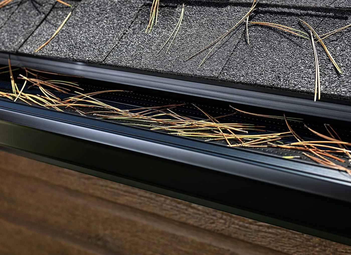Open gutter clogged with leaves and debris